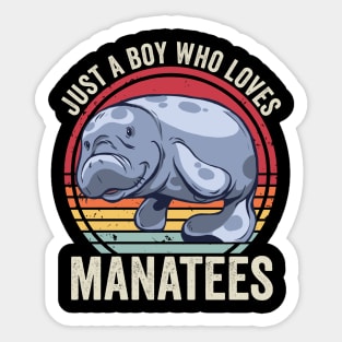 Just A Boy Who Loves Manatees Funny Sticker